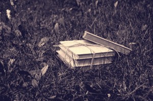 books-in-the-grass